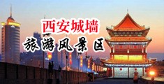 欧洲美女阴道视频中国陕西-西安城墙旅游风景区